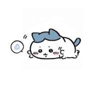 ヒメ日記 2025/07/06 12:03 投稿 きらり LEVEL1