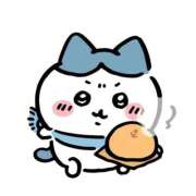 ヒメ日記 2025/11/30 12:21 投稿 きらり LEVEL1