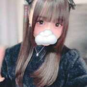 ヒメ日記 2026/02/17 02:51 投稿 きらり LEVEL1