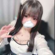 ヒメ日記 2026/02/24 02:31 投稿 きらり LEVEL1