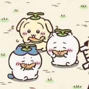 ヒメ日記 2026/09/08 12:05 投稿 きらり LEVEL1