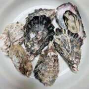 ヒメ日記 2025/01/15 12:14 投稿 並木 いろは 神戸RED DRAGON