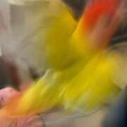 ヒメ日記 2025/01/17 12:35 投稿 並木 いろは 神戸RED DRAGON