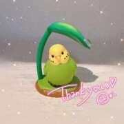 ヒメ日記 2025/08/03 23:02 投稿 並木 いろは 神戸RED DRAGON