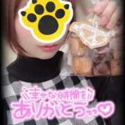 ヒメ日記 2025/11/21 14:00 投稿 並木 いろは 神戸RED DRAGON