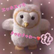 ヒメ日記 2025/12/09 01:42 投稿 並木 いろは 神戸RED DRAGON