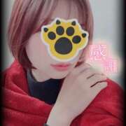 ヒメ日記 2025/12/10 23:26 投稿 並木 いろは 神戸RED DRAGON