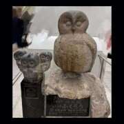 ヒメ日記 2025/12/31 22:06 投稿 並木 いろは 神戸RED DRAGON