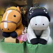 並木 いろは はんしん🐎 神戸RED DRAGON