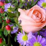 ヒメ日記 2026/02/23 11:56 投稿 白井柚月 五十路マダムエクスプレス横浜店（カサブランカグループ）