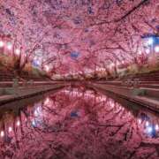 山岸 ブルーボトルコーヒー 熟女の風俗最終章 新横浜店