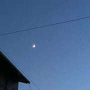 ヒメ日記 2025/07/02 07:29 投稿 めい【高山出発】 Cat's高山店