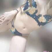 ヒメ日記 2026/02/18 18:09 投稿 めい【高山出発】 Cat's高山店