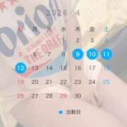 ヒメ日記 2026/03/24 18:11 投稿 めい【高山出発】 高山キャッツ