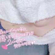 ヒメ日記 2026/04/09 10:39 投稿 めい【高山出発】 高山キャッツ