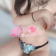 ヒメ日記 2026/04/10 13:19 投稿 めい【高山出発】 高山キャッツ