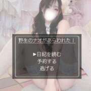 ヒメ日記 2025/11/27 18:02 投稿 なお ごほうびSPA上野店