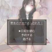 ヒメ日記 2026/01/13 18:12 投稿 なお ごほうびSPA上野店