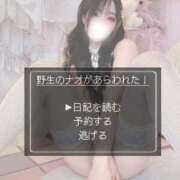 ヒメ日記 2026/02/24 18:14 投稿 なお ごほうびSPA上野店