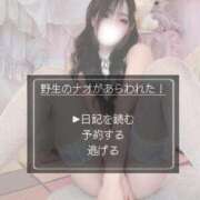 ヒメ日記 2026/04/11 18:08 投稿 なお ごほうびSPA上野店