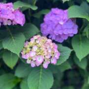 ヒメ日記 2025/06/03 16:57 投稿 ゆ　り XSTASY（エクスタシー）