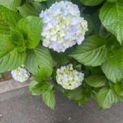 ヒメ日記 2025/06/05 21:55 投稿 ゆ　り XSTASY（エクスタシー）