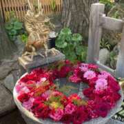 ヒメ日記 2025/05/26 08:46 投稿 ちなつ 熟女の風俗最終章 新潟店