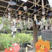 ヒメ日記 2025/08/15 08:09 投稿 ちなつ 熟女の風俗最終章 新潟店