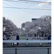 ヒメ日記 2026/03/29 13:53 投稿 ちなつ 熟女の風俗最終章 新潟店