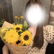 ヒメ日記 2025/06/28 21:56 投稿 星月ひかり【極純の圧倒的美女】 Club Rosa