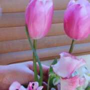 ヒメ日記 2024/12/12 09:19 投稿 ひまわり 熟女デリヘル倶楽部