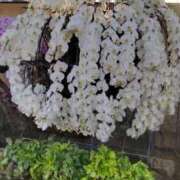 ヒメ日記 2024/12/16 20:59 投稿 ひまわり 熟女デリヘル倶楽部