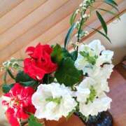 ヒメ日記 2024/12/23 09:34 投稿 ひまわり 熟女デリヘル倶楽部