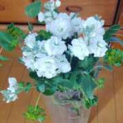 ヒメ日記 2024/12/27 09:05 投稿 ひまわり 熟女デリヘル倶楽部