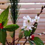 ヒメ日記 2025/01/01 10:36 投稿 ひまわり 熟女デリヘル倶楽部