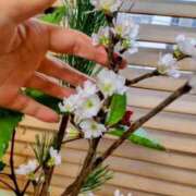 ヒメ日記 2025/01/03 09:05 投稿 ひまわり 熟女デリヘル倶楽部