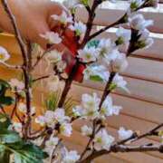 ヒメ日記 2025/01/05 10:53 投稿 ひまわり 熟女デリヘル倶楽部