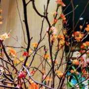 ヒメ日記 2025/01/06 10:33 投稿 ひまわり 熟女デリヘル倶楽部