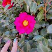 ヒメ日記 2025/01/07 11:27 投稿 ひまわり 熟女デリヘル倶楽部