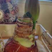 ヒメ日記 2025/01/08 09:06 投稿 ひまわり 熟女デリヘル倶楽部