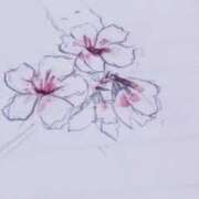 ヒメ日記 2025/01/08 10:52 投稿 ひまわり 熟女デリヘル倶楽部