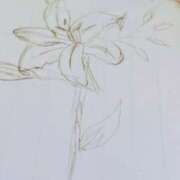 ヒメ日記 2025/01/09 09:49 投稿 ひまわり 熟女デリヘル倶楽部