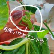 ヒメ日記 2025/01/12 14:31 投稿 ひまわり 熟女デリヘル倶楽部