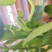 ヒメ日記 2025/01/13 08:44 投稿 ひまわり 熟女デリヘル倶楽部