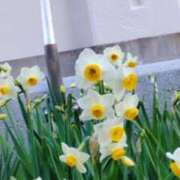 ヒメ日記 2025/01/15 18:24 投稿 ひまわり 熟女デリヘル倶楽部