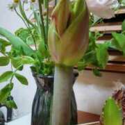 ヒメ日記 2025/01/17 22:52 投稿 ひまわり 熟女デリヘル倶楽部