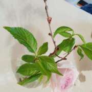 ヒメ日記 2025/02/13 18:09 投稿 ひまわり 熟女デリヘル倶楽部