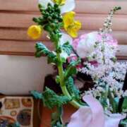 ヒメ日記 2025/02/23 09:46 投稿 ひまわり 熟女デリヘル倶楽部