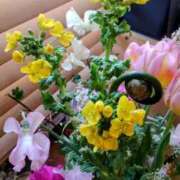 ヒメ日記 2025/02/24 08:56 投稿 ひまわり 熟女デリヘル倶楽部