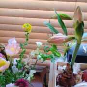 ヒメ日記 2025/02/26 08:35 投稿 ひまわり 熟女デリヘル倶楽部